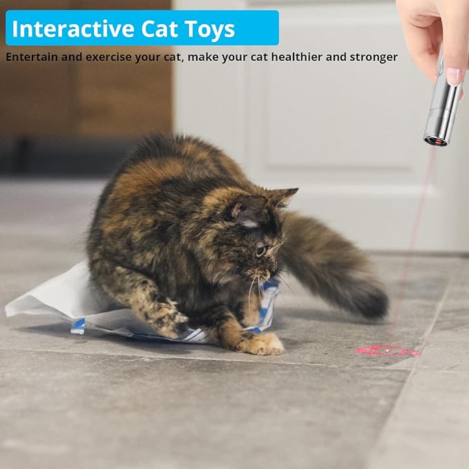 Cat Toy Pointer for Indoor Cats, USB Rechargeable Kitten Toys with 7 Adjustable Patterns, Interactive Chase Toys for Indoor Cats &amp; Dogs, Training &amp; Exercise Fun