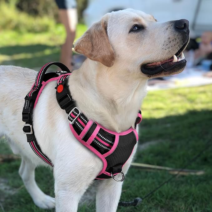 rabbitgoo Dog Harness for Large Dogs, No Pull Pet Vest with 3 Buckles, Adjustable Soft Padded Pet Harness with Easy Control Handle and Reflective Strips, Black &amp; Rose Pink, L