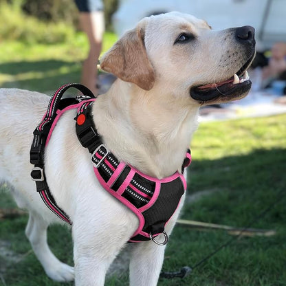 rabbitgoo Dog Harness for Large Dogs, No Pull Pet Vest with 3 Buckles, Adjustable Soft Padded Pet Harness with Easy Control Handle and Reflective Strips, Black &amp; Rose Pink, L