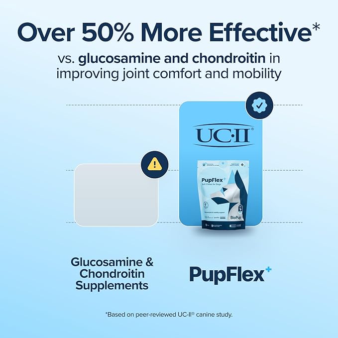 PupFlex+ Hip and Joint Supplement Dogs, Vet Created Soft Chews with UC-II® Collagen for Dogs, CurcuVET® &amp; Omega 3, Proven More Effective Than Glucosamine Chondroitin, Dog Joint Supplement (60 ct)