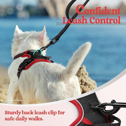 rabbitgoo Dog Harness No Pull with 2 Leash Clips, Adjustable Soft Padded, Reflective Oxford No Choke Pet Vest with Easy Control Handle for Puppy, Black &amp; Red, XS