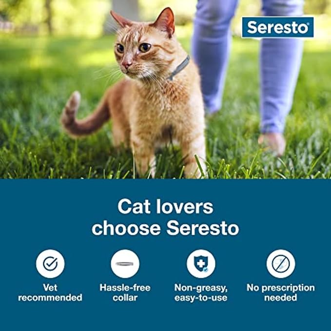 Seresto Cat Vet-Recommended Flea &amp; Tick Treatment &amp; Prevention Collar for Cats, 8 Months Protection | (Pack of 2)