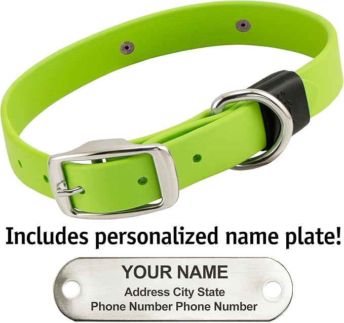 Biothane Custom Dog Collar – Waterproof, Stink-Proof Personalized Collar with Name &amp; Phone Number – Durable, Many Sizes and Colors – Assembled in USA (Green Apple)