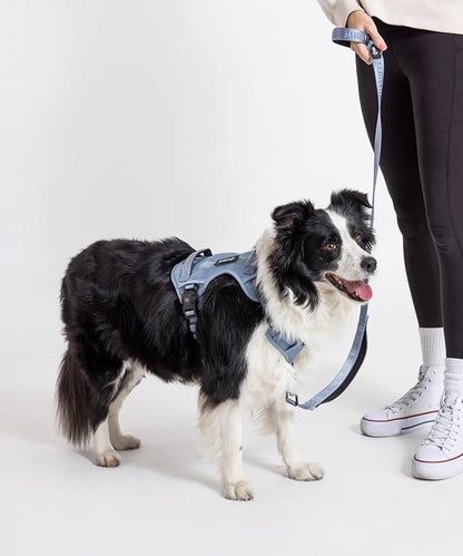 2025 New Edition, Fei &amp; Eve MagEase Dog Harness - 3-Second Magnetic Buckles | 3-Point No-Pull Control | Heavy-Duty 900D Nylon | Dual Safety Handles | Breathable Mesh | Adjustable Fit | Medium, Blue