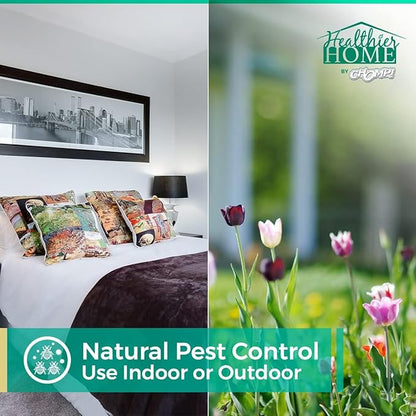 CHOMP! Travel Size Bed Bug &amp; Insect Repellent, Natural, TSA Approved Indoor Pest Control Spray for Travel &amp; Home, Plant-Based Dust Mite, Ant, Spider, Fly Killer, Peppermint Scent, 3.4 Fl Oz
