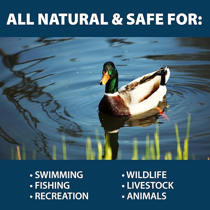 Airmax PondClear Packets, Beneficial Bacteria &amp; Enzyme Clarifier Treatment with Ecoboost PRx, Clear &amp; Clean Pond &amp; Lake Water, Safe for Fish, 96 Count