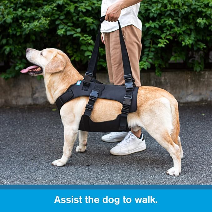 Dog Lift Harness, Rehabilitation Lifts Vest for Dogs, Support &amp; Recovery Sling, Adjustable Breathable Lifting Straps for Old, Joint Injuries, Arthritis, Paralysis Dogs Walk (2XL, Black)