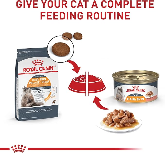 Royal Canin Feline Care Nutrition Hair &amp; Skin Care Thin Slices in Gravy Canned Cat Food, 3 oz can (12-Count)