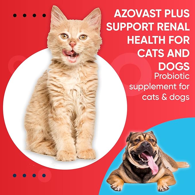 Azovast Plus Kidney Health Supplement for Dogs &amp; Cats, Oral Paste (60 cc) - NO Refrigeration Required - Help Support Kidney Function &amp; Manage Renal Toxins Chicken Flavor (Made in U.S.A(60cc)