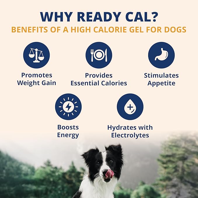Under the Weather Pet Electrolytes Ready Cal Plus Gel for Dogs | Vet-Formulated High-Calorie Supplement for Dog &amp; Puppy | Provides Essential Calories &amp; Promotes Weight Gain | 3.5 Oz Tube Pack