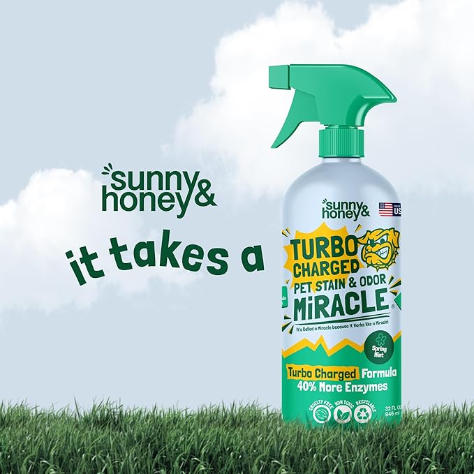 Sunny &amp; Honey Enzyme Carpet Cleaner Spray - 32 Fl Oz, Spring Mint - Pet Urine Remover &amp; Odor Eliminator - Stain Remover