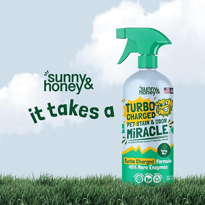 Sunny &amp; Honey Enzyme Carpet Cleaner Spray - 32 Fl Oz, Spring Mint - Pet Urine Remover &amp; Odor Eliminator - Stain Remover