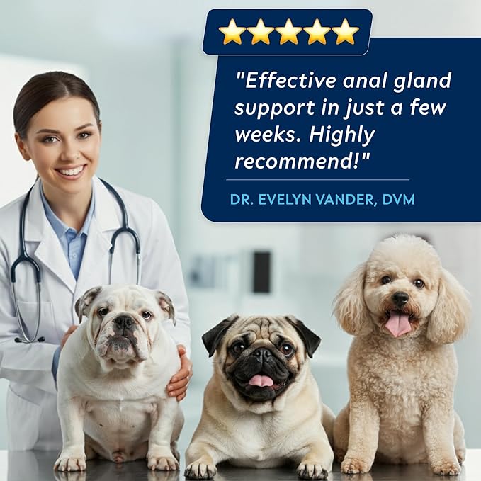 STRELLALAB Anal Gland Support Chews - Scoot Treatment - Digestive Enzymes, Prebiotics &amp; Fiber Supplement for Dogs Digestion &amp; Gut Health. Proprietary Blend of Beet, Psyllium, Dandelion &amp; Pumpkin 120Ct