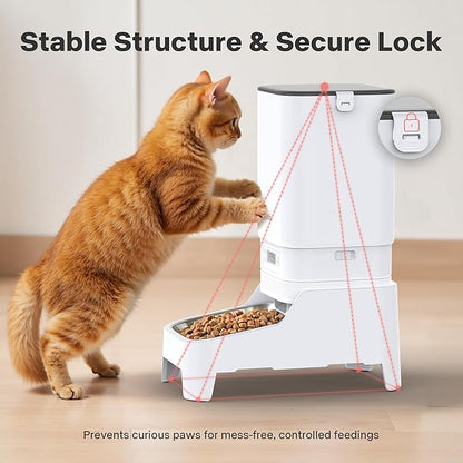 Automatic Cat Feeders, 7L/29 Cups Automatic Dog Feeder, Cat Food Dispenser, No-Jam Rotor, Up to 6 Meals for 2-15 mm Dry Food, with Elevated Stand, Stainless Steel Bowl
