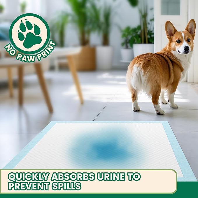 IMMCUTE Puppy Pads 30x28 Inches, 30 Count- Extra Large Super Absorbent Puppy Training Pads with Double Leak-Proof Layer | Thick Disposable Potty Pads for Dogs, Puppies &amp; Pets | Odor Control, Quick Dry