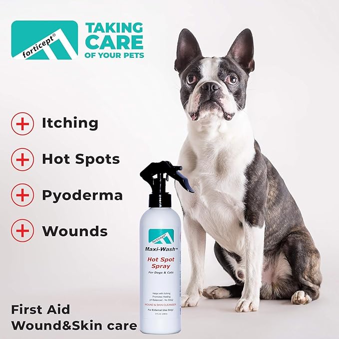 Forticept Maxi-Wash Hot Spot Spray Treatment, Wound Care &amp; Itch Relief Spray for Dogs and Cats. Relives Scratching, Rashes, Sores, Itchy Skin and Paw Licking 8 oz