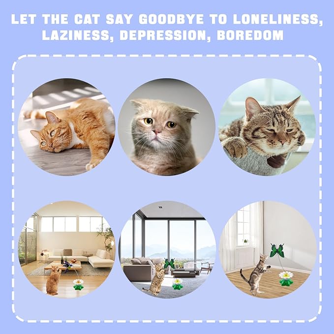 Yisquar Electric Bird &amp; Butterfly Teasing Cat Toy 2PCS Interactive Bird Toy for Cats Interactive Cat Toys Automatic Electric Butterfly 360°Rotating Kitten Toys Fun Flying Birds Cats Play Chase