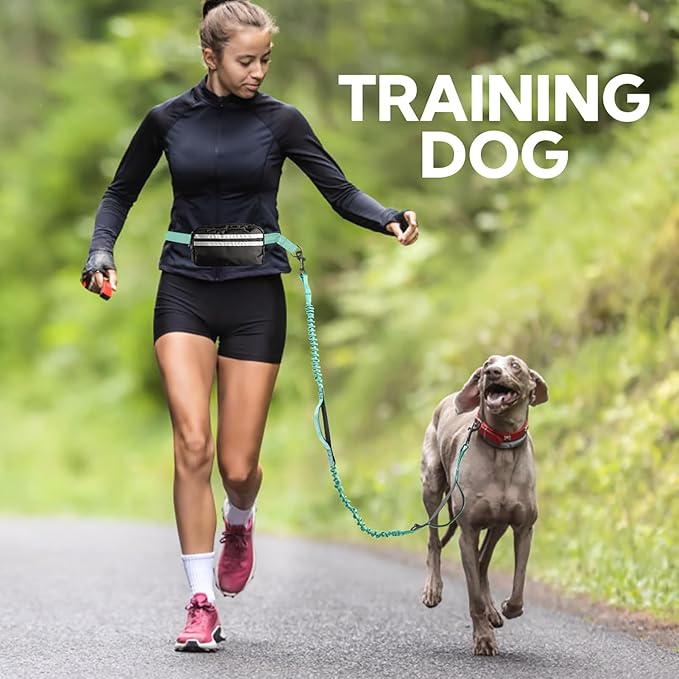 Hands Free Dog Leash, Retractable Bungee with Double Padded Handles, Waist Leash for Dog Walking, Heavy Duty Dog Leash for Medium &amp; Large Dog, Dog Walking Accessories, Green