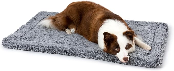 Stoutwool Indestructible Dog Bed - Fluffy Chew Proof Dog Crate Pad - Tough Kennel Pad for Aggressive Chewers - Washable, Ideal for Large Breeds &amp; Fits 36-Inch Crate - 35"x22", Charcoal