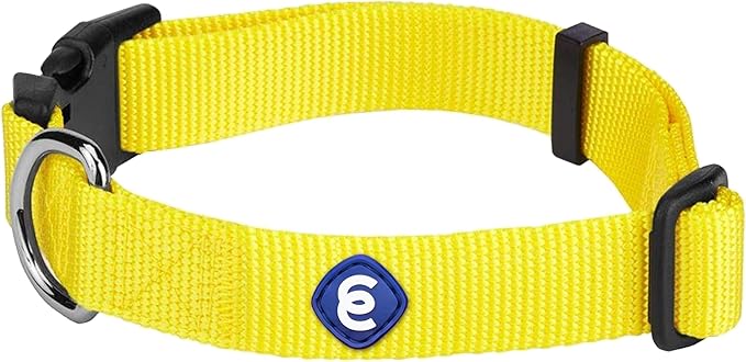 Blueberry Pet Essentials X-Small Dog Collar in Blazing Yellow | Adjustable &amp; Eco-Friendly Durable Nylon Strap | Classic Collar for X-Small Dogs, Boy &amp; Girl Pets
