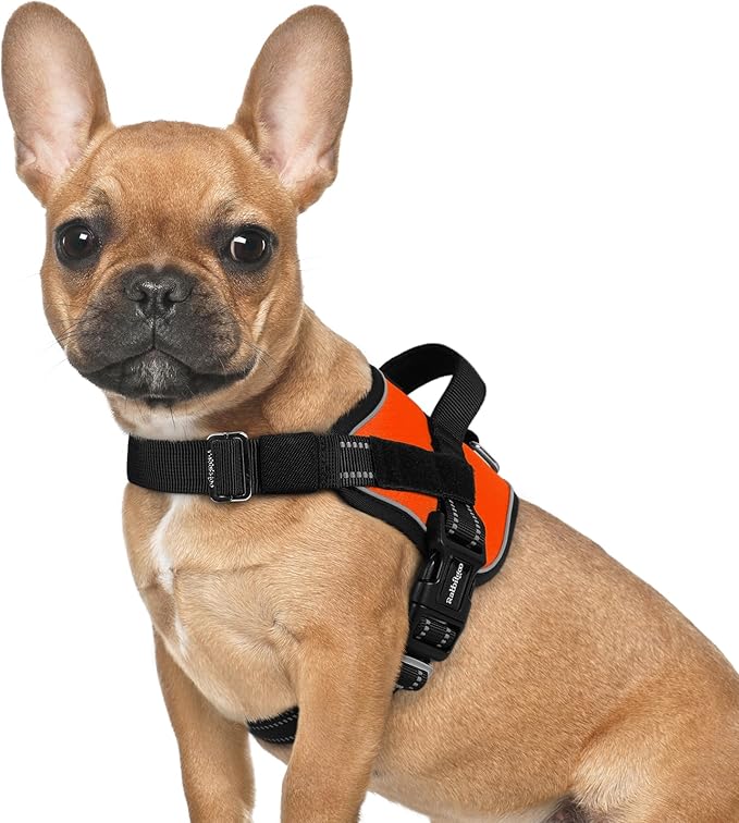 rabbitgoo Dog Harness for Small, Easy On Pet Vest with One Buckle, No Pull Adjustable Service Harness with D-Ring &amp; Handle, Reflective for Safety Walking, Training, Orange, S