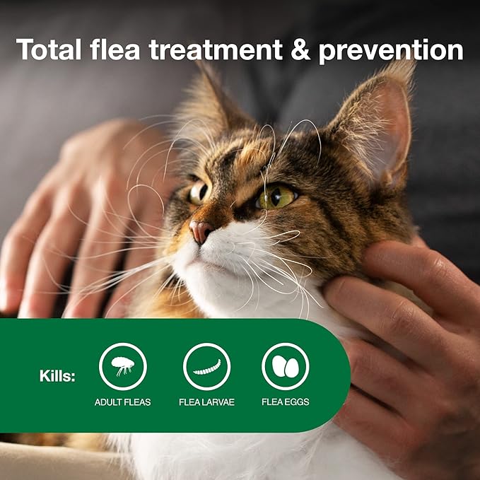 Advantage II Large Cat Vet-Recommended Flea Treatment &amp; Prevention | Cats Over 9 lbs. | 6-Month Supply