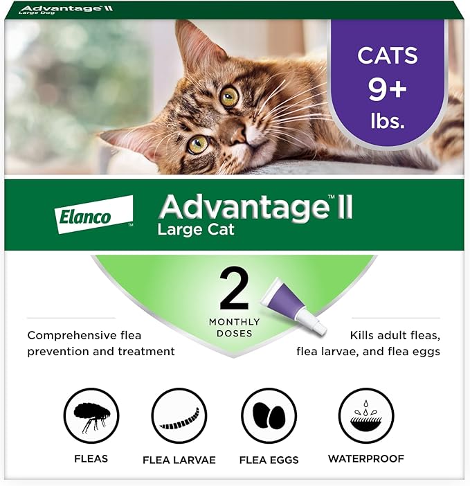 Advantage II Large Cat Vet-Recommended Flea Treatment &amp; Prevention | Cats Over 9 lbs. | 2-Month Supply