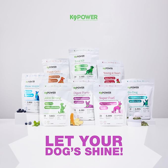 K9 Power Digest Forte for Dogs 1lb – Digestive, Immunity &amp; Calming Support - Enhances Nutrient Absorption - Balances Gut Flora - Eases Discomfort &amp; Boost Mood - Pack of 2