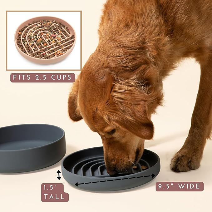The Slowdown Bowl Silicone Slow Feeder for Dogs &amp; Puppies, Slow Eating, Modern Lick Mat Design, Reduces Gulping, Fits 2.5 Cups 9.5” Across x 1.5” Tall, Mealtime Challenge, Large-Blush
