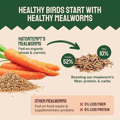 Dried Mealworms - 2 Lb Bag - High Protein Chicken Feed, Mealworms for Birds &amp; Chickens - Meal Worms for Wild Birds &amp; Turtles