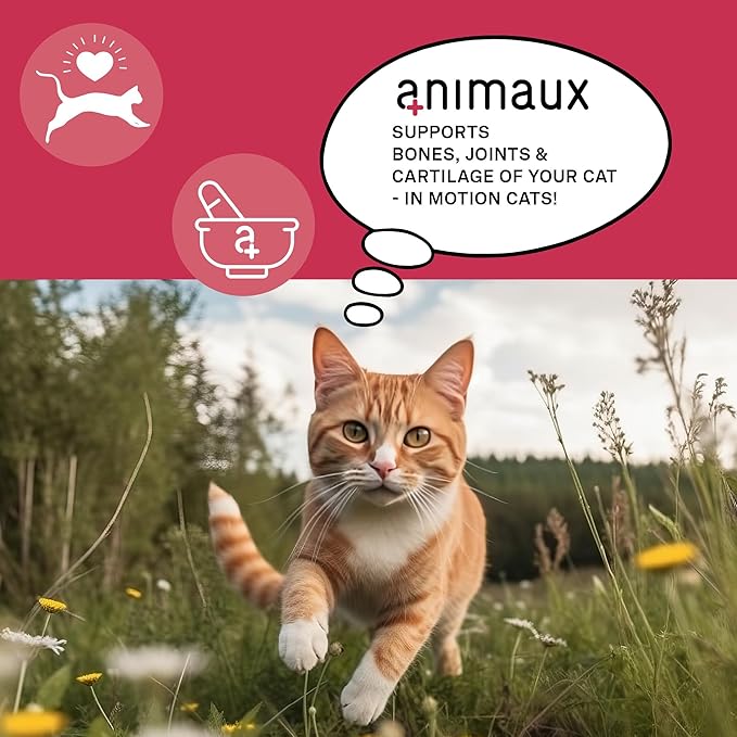 animaux - in Motion Cats, Green-lipped Mussel, Devil&