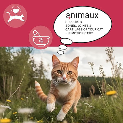 animaux - in Motion Cats, Green-lipped Mussel, Devil&