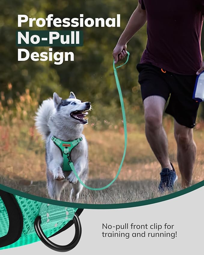 MIDOG No-Pull Dog Harness | Adjustable &amp; Reflective Pet Harness Leash Set for Small Medium Large Dogs Walking, Training| No Choke, Front Clip, Soft Padded Vest with Easy Control Handle - Green, M