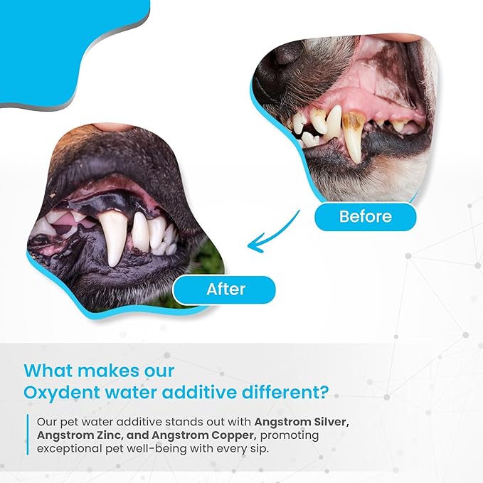Oxydent Premium Pet Dental Care Solution - Pet Water Additive &amp; Mouthwash for Teeth Cleaning - Eliminate Bad Dog &amp; Cat Bad Breath - Dog Dental Rinse - Fights Tartar &amp; Plaque