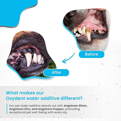 Oxydent Premium Pet Dental Care Solution - Pet Water Additive &amp; Mouthwash for Teeth Cleaning - Eliminate Bad Dog &amp; Cat Bad Breath - Dog Dental Rinse - Fights Tartar &amp; Plaque