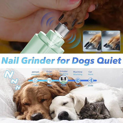 2 in 1 Dog Nail Clippers and Grinder with Lights &amp; Cat Nail Clipper for Large Medium Small Dogs Cats Nail Trimmers USB Rechargeable with 2 LED Lights Dog Claw Care for Non-Black Nails