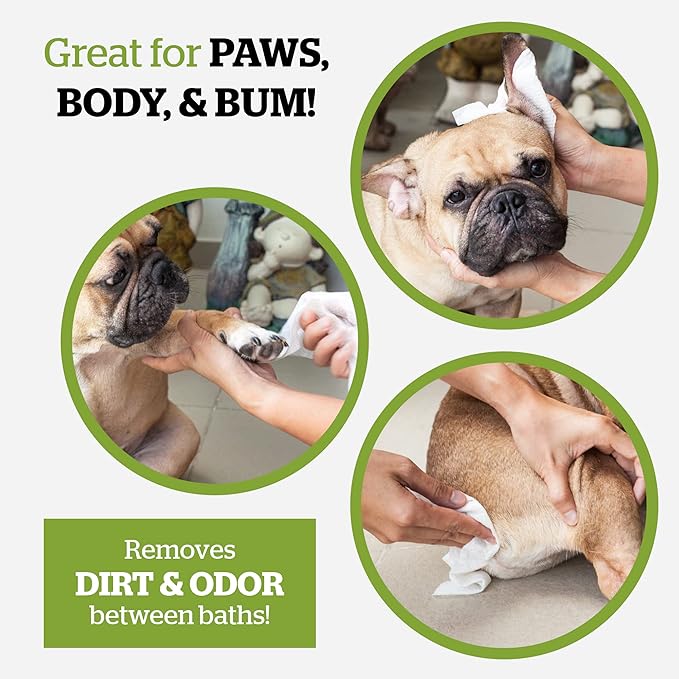 Pogi’s Dog Wipes Travel Packs – Hypoallergenic Pet Wipes for Paws, Body &amp; Butt – Cleaning &amp; Hydrating, Green Tea Scent, 240-Count