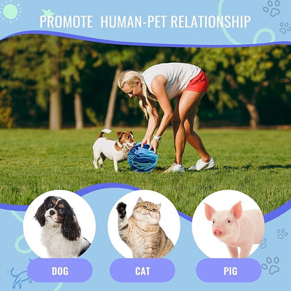 Pet Snuffle Ball, Puzzle Sniffing Interactive Dog Ball for Blind Dogs Training Stress Relief Dog Enrichment Toys Treat Machine Washable (Ocean Blue, 10cm)