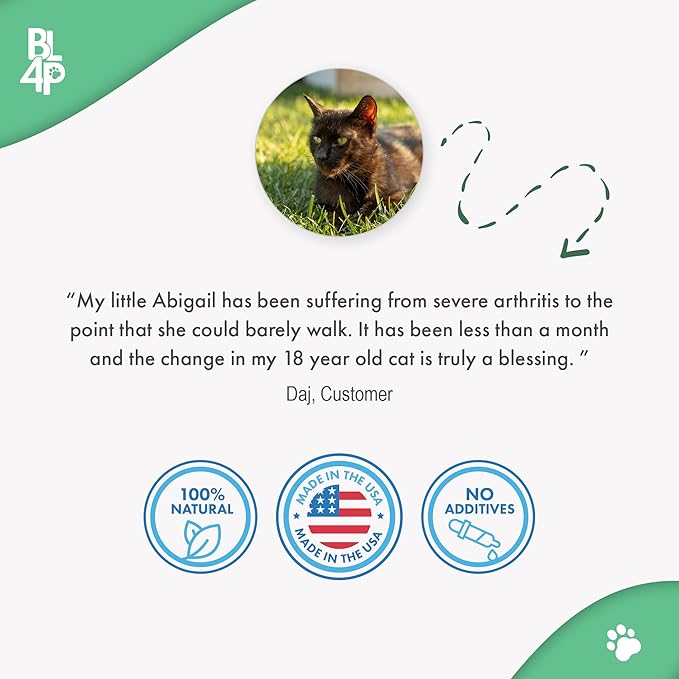 Walk-Easy Dog Hip &amp; Joint Supplement, Effective Dog Pain Relief and Anti-Inflammatory Supplement for Mobility, Canine Joint Pain Relief, ACL Tears, Limping, Knee and Back Aches, Easy to Give 2 Pack