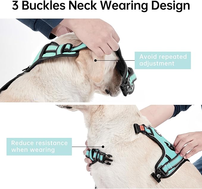 IVY&amp;LANE No Pull Dog Harness with Leash Set, Reflective No Choke Pet Vest,Adjustable Oxford Dog Vest Harness with Easy Control Handle for Large Dogs (Turquoise,L)