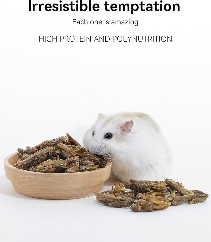 Niteangel Small Animal Snack &amp; Treats - Small Critter Natural Treat for Dwarf Syrian Hamsters Gerbils Mice Sugar Glider Hedgehogs Chickens Birds (Freeze-Dried Grasshopper)