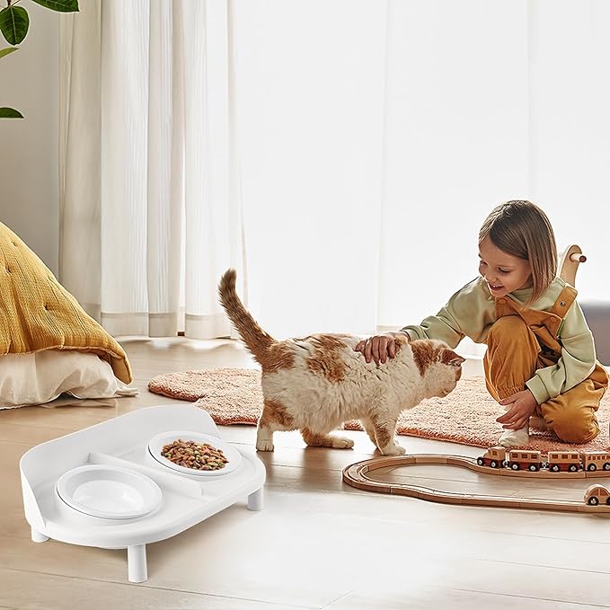 Elevated Cat Bowls, Tilted Rised Cat Food and Water Bowl with 2 Pcs Ceramic Pet Bowls, Rised Stand, Pet Dish Anti Vomiting Feeding Station for All Sized Cats &amp; Small Dogs (White)