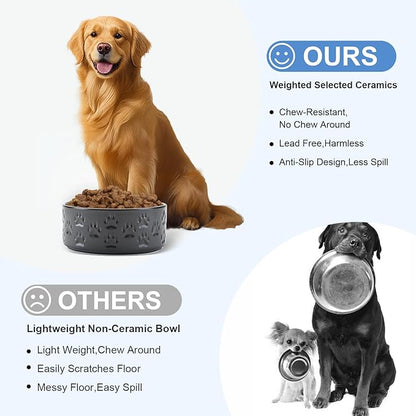 SPUNKYJUNKY Ceramic Dog Bowls 2 Pack, 8.3&