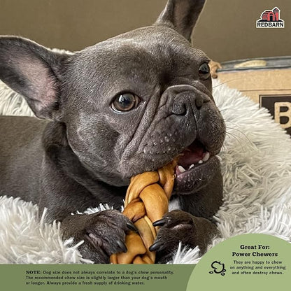 Redbarn Pet Products Recbarn Natural 12" Beef Collagen Braids - Case of 20 Sticks - Long Lasting Low-Odor Alternative to Rawhide &amp; Bully Sticks -Single Ingredient Chew for Medium Large Dogs