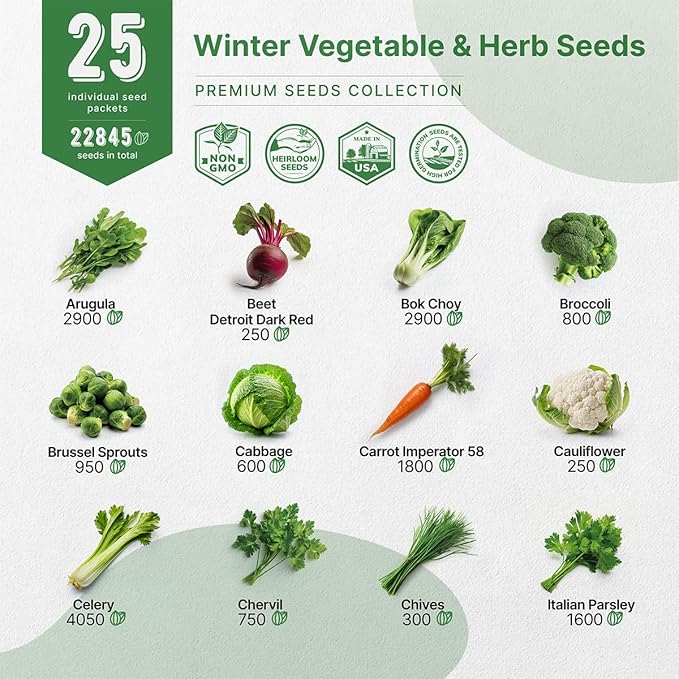 Organo Republic 25 Winter Vegetable &amp; Herb Garden Seeds Variety Pack for Outdoors &amp; Indoor Home Gardening 22,840+ Non-GMO Heirloom Seeds Broccoli Beet Carrot Cabbage Radish Pea Mint Thyme Parsley