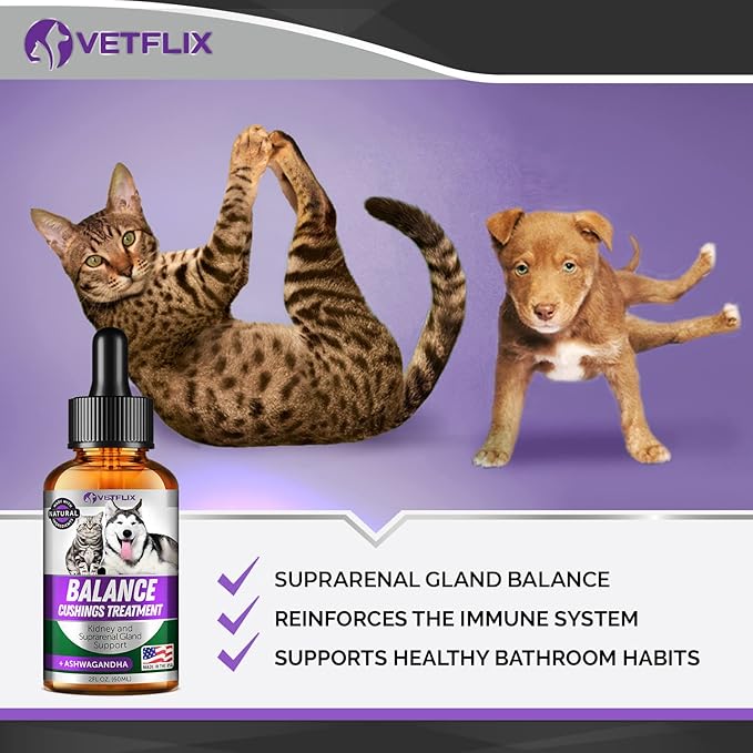 Pet Adrenal Support for Dogs &amp; Cats - Made in USA - Cushings Treatment for Dogs - Cat &amp; Dog Supplement for Kidney Support - 2 Fl Oz