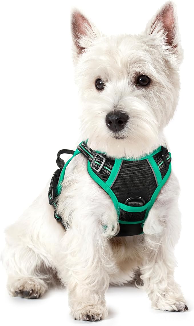 rabbitgoo Dog Harness No Pull with 2 Leash Clips, Adjustable Soft Padded, Reflective Oxford No Choke Pet Vest with Easy Control Handle for Puppy, Black &amp; Turquoise, XS