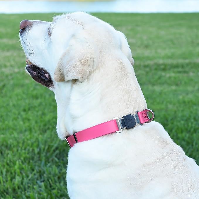 Dogline Biothane Waterproof Dog Collar with Herm Sprenger Stainless Steel Quick Release Buckle – Heavy Duty Tactical Durable Collar for Dogs – Comfortable and Safe Pet Collar, W 1" L 15-25", Pink