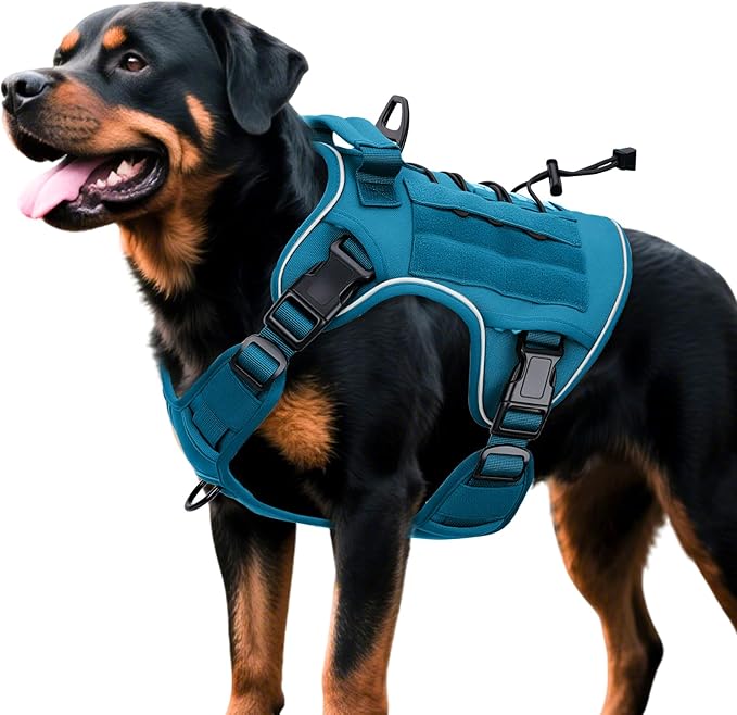 Heavy-Duty Tactical Dog Harness for Large Dogs, No Pull Adjustable Reflective Pet Vest with Molle System, K9 Military-Grade Control for Service Training, Outdoor &amp; 10+ Breeds, Blue, XX-Large