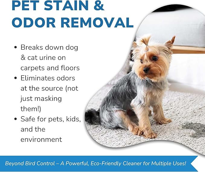 BIRD BARRIER Product Image Dissolve-It Enzyme Cleaner Concentrate |1 Quart Ready to use | Bird Dropping Remover, Pet Urine &amp; Odor Eliminator for Carpets, Hardwood Floors, Drains &amp; Grease Traps